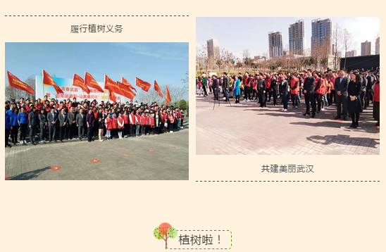 微信截图_20190313105413.png