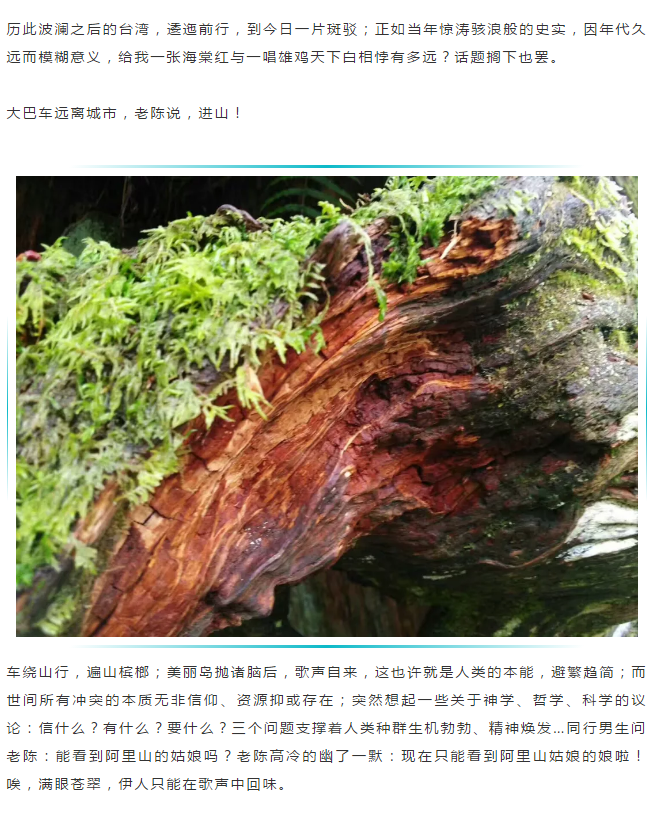 微信图片_20190702161954.png